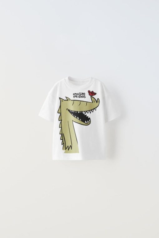 ZARA AMAZING FRIEND T-Shirt