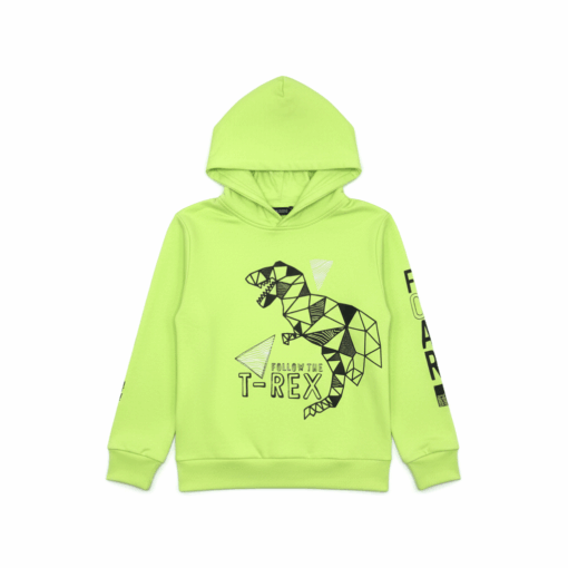BLUE SEVEN KIDS DINO PRINT HOODIE SEA GREEN