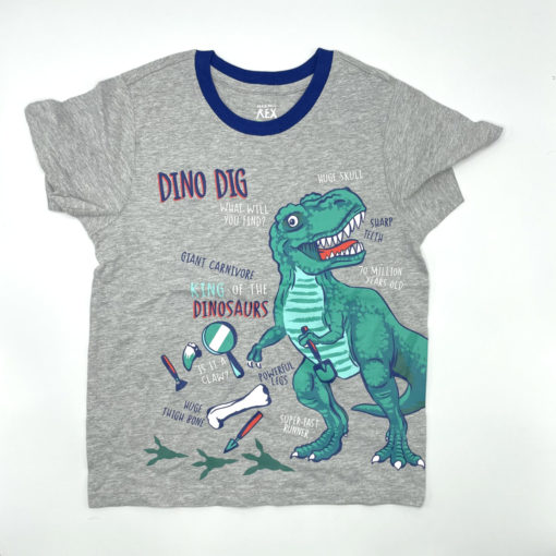 Maximus Rex Kids Dino Dig Grey T-Shirt