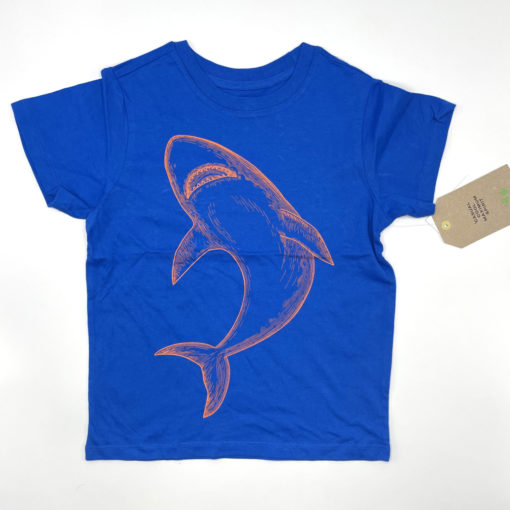 Maximus Rex Kids Dolphin Print Royal Blue T-Shirt