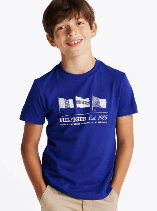 Tommy Hilfiger Boy's Flag Graphic Crew Neck T-Shirt Royal Blue