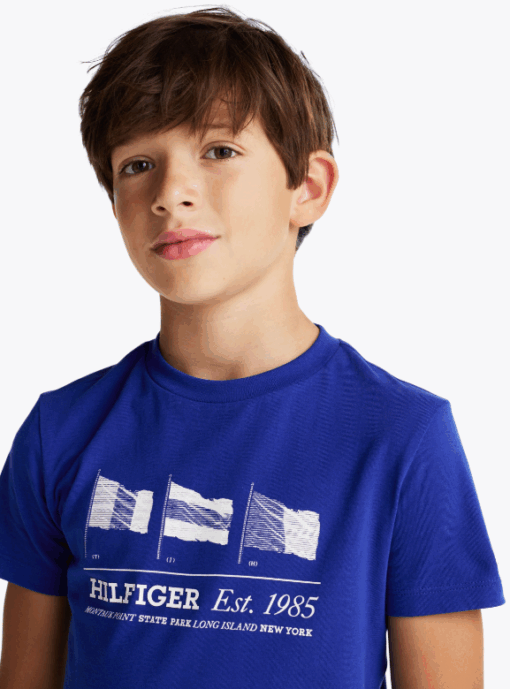Tommy Hilfiger Boy's Flag Graphic Crew Neck T-Shirt Royal Blue - Image 2
