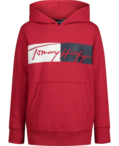 Tommy Hilfiger Boys' Long Sleeve Heavyweight Fleece Pullover Hoodie - Image 4
