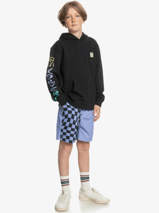 Quick Silver Boys 8-16 Radical Times Hoodie - Image 4