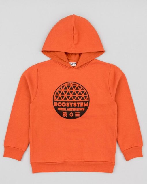 Lenfantillon Boys Hoodie Losan Garçon