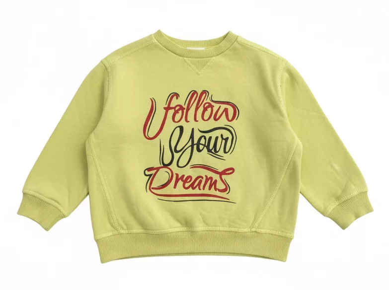 Zara Follow Your Dreams Sweatshirt Mustered