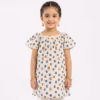 Fables Blue/Brown Flowers Print Cotton Frock